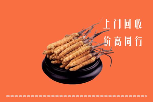 高价求购：太原杏花岭区回收散虫草