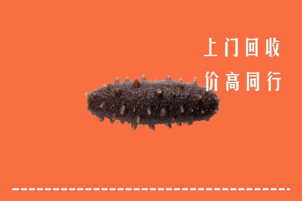 高价求购：太原杏花岭区回收海参