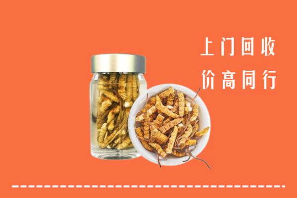 太原杏花岭区回收冬虫夏草