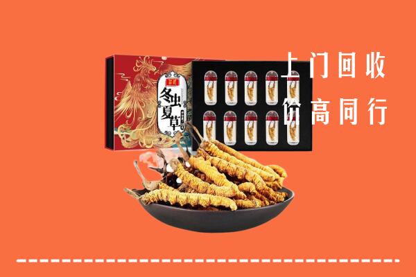 太原杏花岭区回收虫草